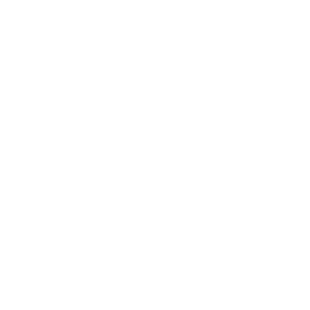 Synthonyx Group